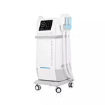 Best Emsculpt Machine