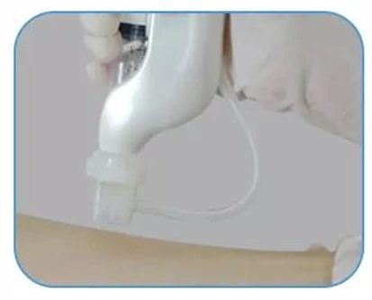 Professional Mesotherapy Gun