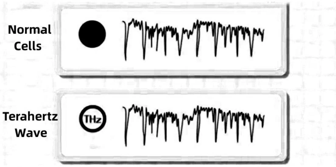 Terahertz Bioenergy Meter